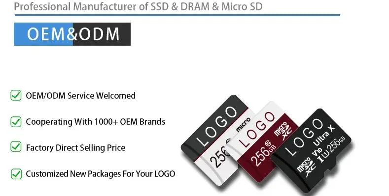 Bulk Factory Micro TF SD Memory Card 2GB for Smart Phone